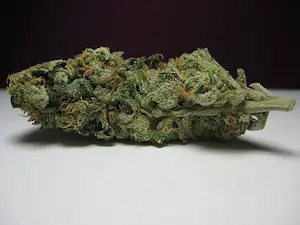 Cannabis by Nickel Bag of Funk